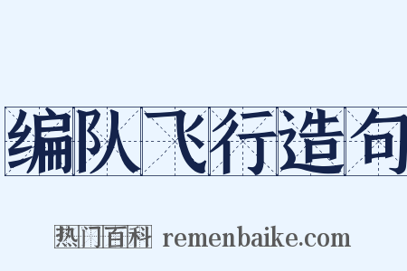 编队飞行造句是什么意思的图片